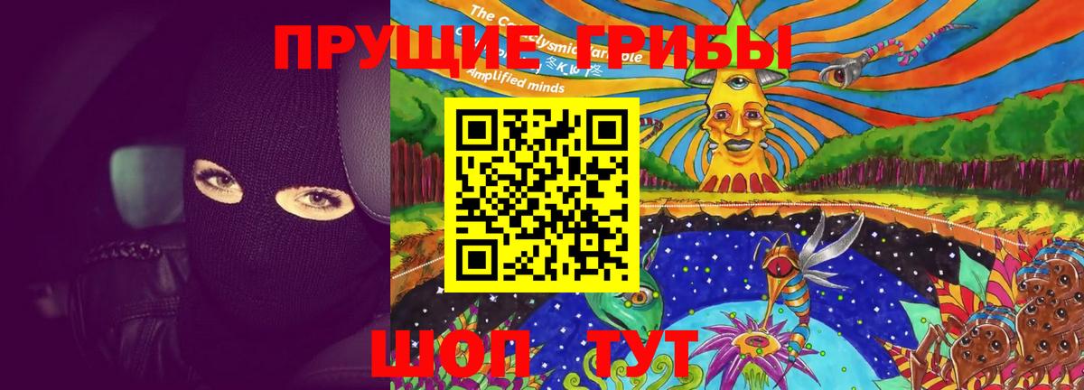 Великий Новгород  Псилоцибиновые грибы Magic Shrooms  Вход с VPN  Псилоцибиновые грибы GOLDEN TEACHER 